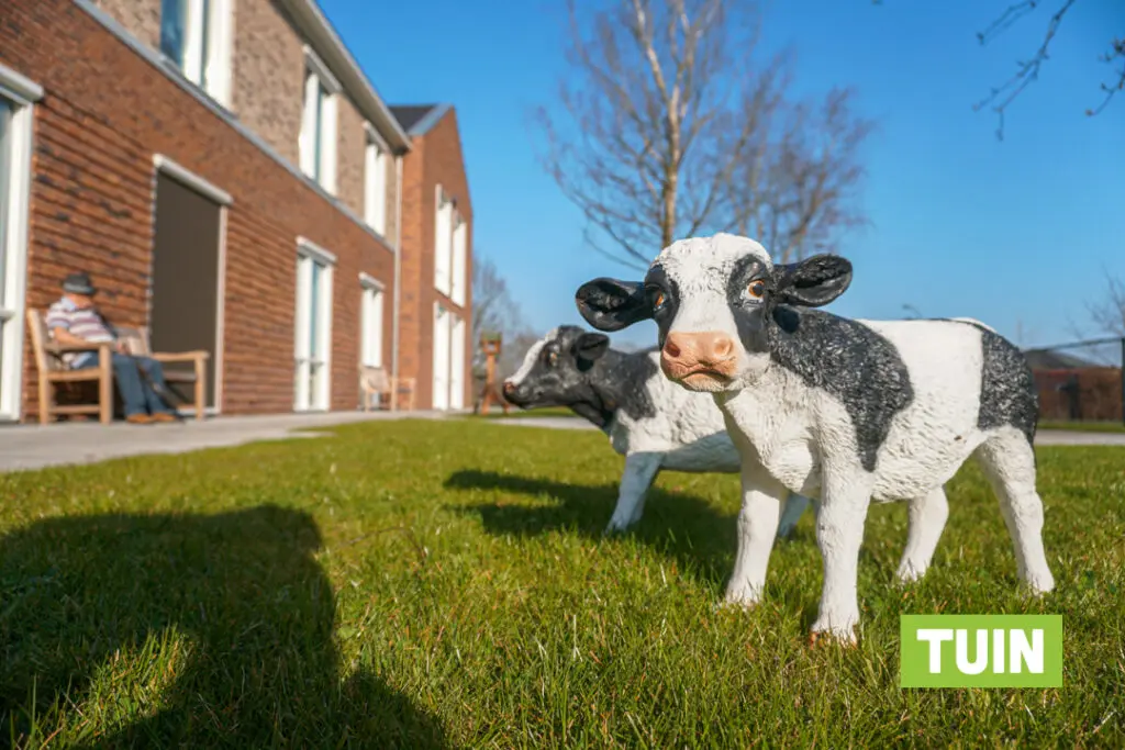 Een foto van de tuin van Het Ravelijnhuis van Dagelijks Leven waar mensen met dementie kleinschalig en betaalbaar wonen in een particuliere zorginstelling