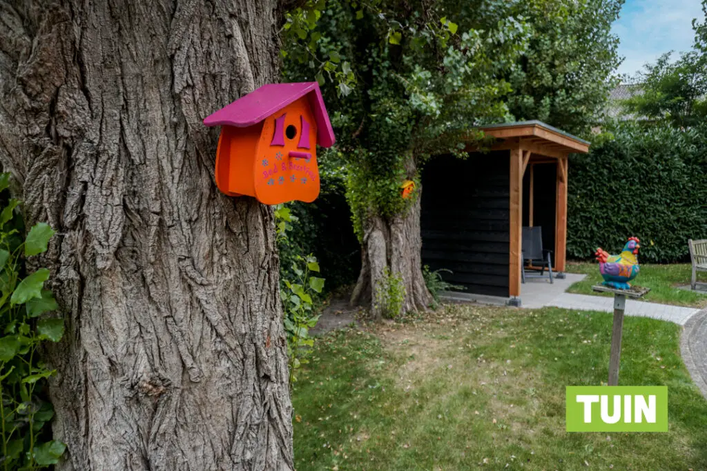 In de tuin van Het Beatrixhuis hangen vrolijke creaties. Kleinschalig wonen met dementie