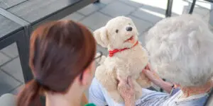 Sensorische informatieverwerking gaat in grote mate om prikkelverwerking. Het aanbieden van prikkels, zoals op deze foto middels een robothond bij een bewoonster met dementie, kan helpen bij onbegrepen gedrag.