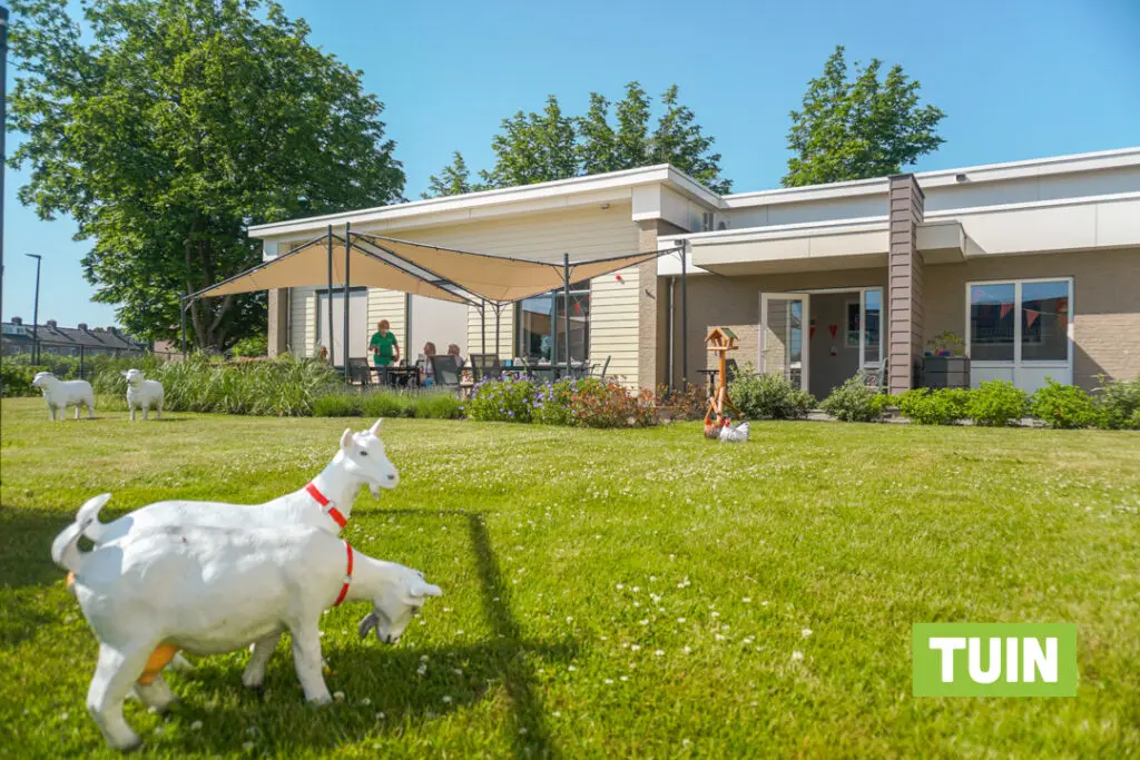 Een foto van de tuin van Het Drostenhuis van Dagelijks Leven waar mensen met dementie kleinschalig en betaalbaar wonen in een particuliere zorginstelling
