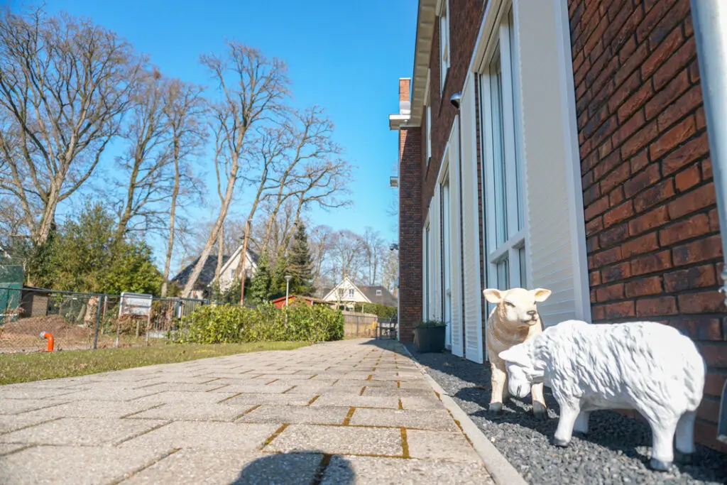 Een foto van de tuin van Het Vijverberghuis van Dagelijks Leven waar mensen met dementie kleinschalig en betaalbaar wonen in een particuliere zorginstelling