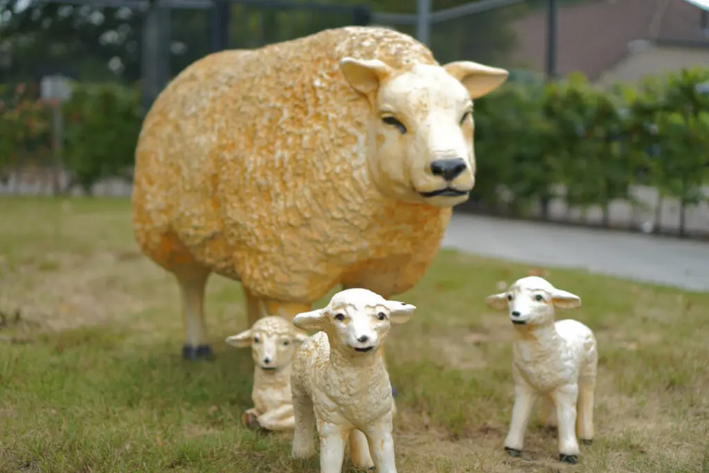 Een foto van de tuin van Het Rietveldhuis van Dagelijks Leven waar mensen met dementie kleinschalig en betaalbaar wonen in een particuliere zorginstelling