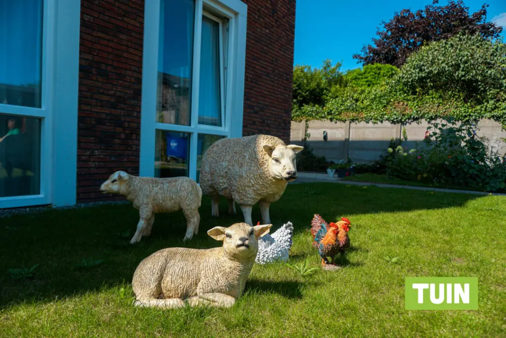 Een foto van de tuin van Het Hurkhuis van Dagelijks Leven waar mensen met dementie kleinschalig en betaalbaar wonen in een particuliere zorginstelling
