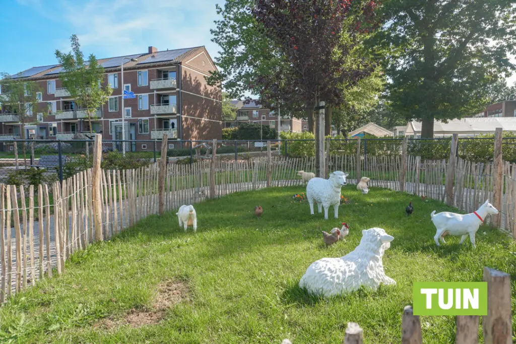 Een foto van een deel van de tuin van Het Gofferthuis van Dagelijks Leven waar mensen met dementie kleinschalig en betaalbaar wonen in een particuliere zorginstelling