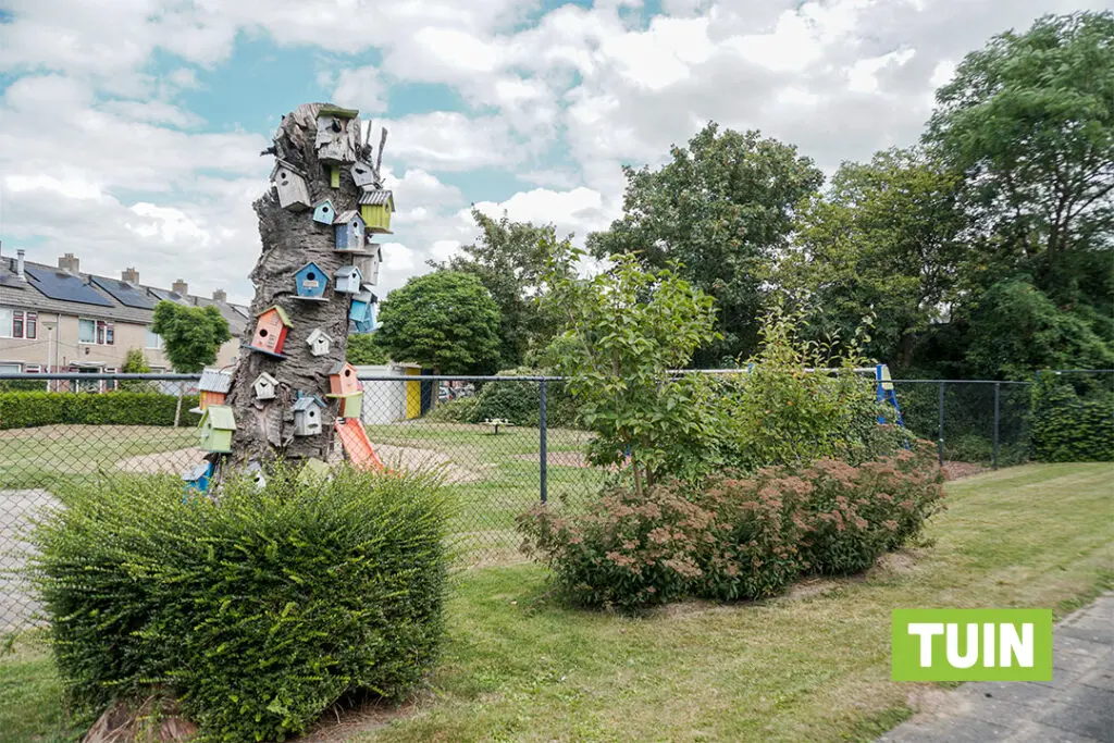 Een foto van de gezellige en knusse inrichting van Het Jasmijnhuis waar mensen met dementie kleinschalig wonen, anders dan in een verzorgingshuis