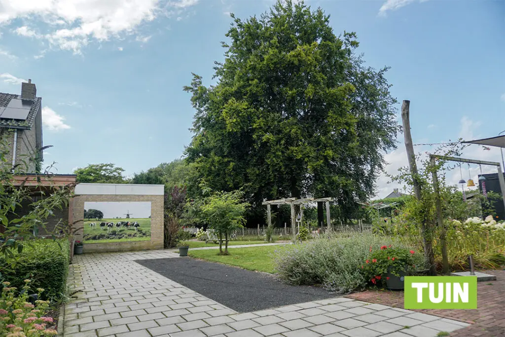 Een foto van de moestuin van Het Orgelhuis van Dagelijks Leven waar mensen met dementie kleinschalig en betaalbaar wonen in een particuliere zorginstelling