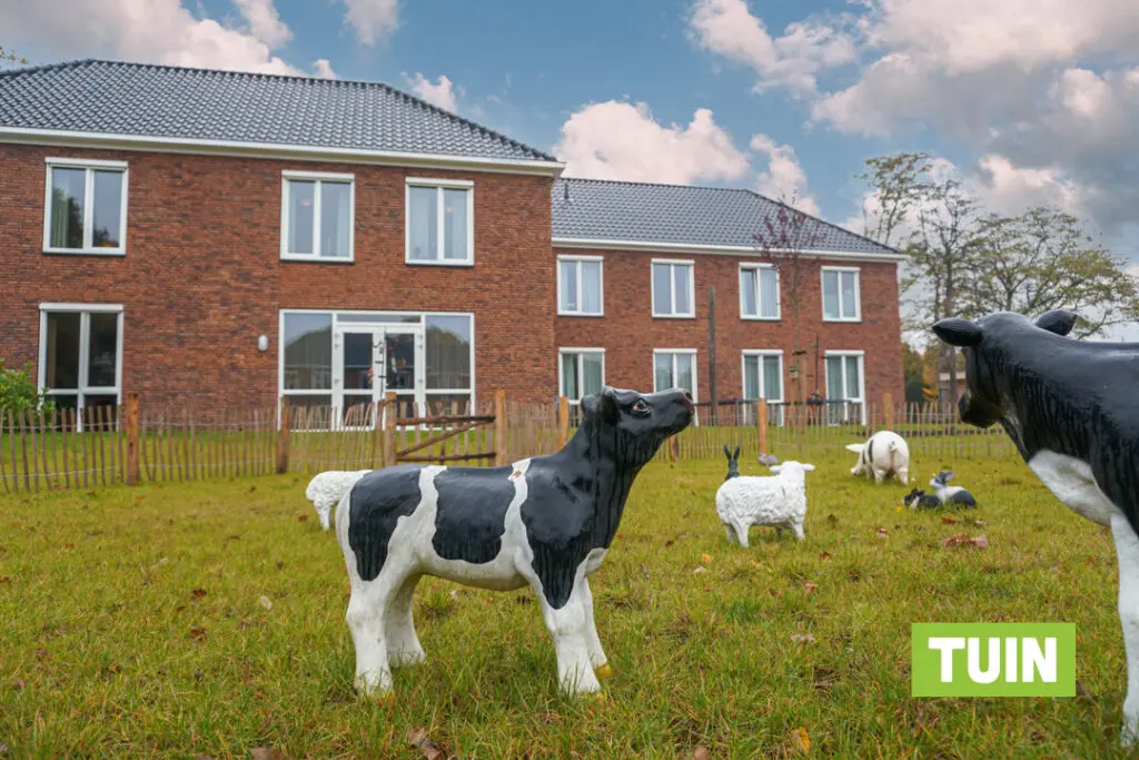 Een foto van de tuin van Het Rooyhuis van Dagelijks Leven waar mensen met dementie kleinschalig en betaalbaar wonen in een particuliere zorginstelling