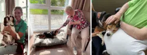 Dieren en dementie: 'Soms zegt een kwispelende staart meer dan woorden' 1 Dieren en dementie: het is bijzonder hoeveel troost en verbondenheid de hond van deze gvp brengt voor de bewoners van de kleinschalige woonzorglocatie voor mensen met dementie. Drieluik. Foto links is van de GVP met haar hondje. In het midden een bewoonster die de hond aait. Rechts: de hond ligt bij een bewoner op schoot.
