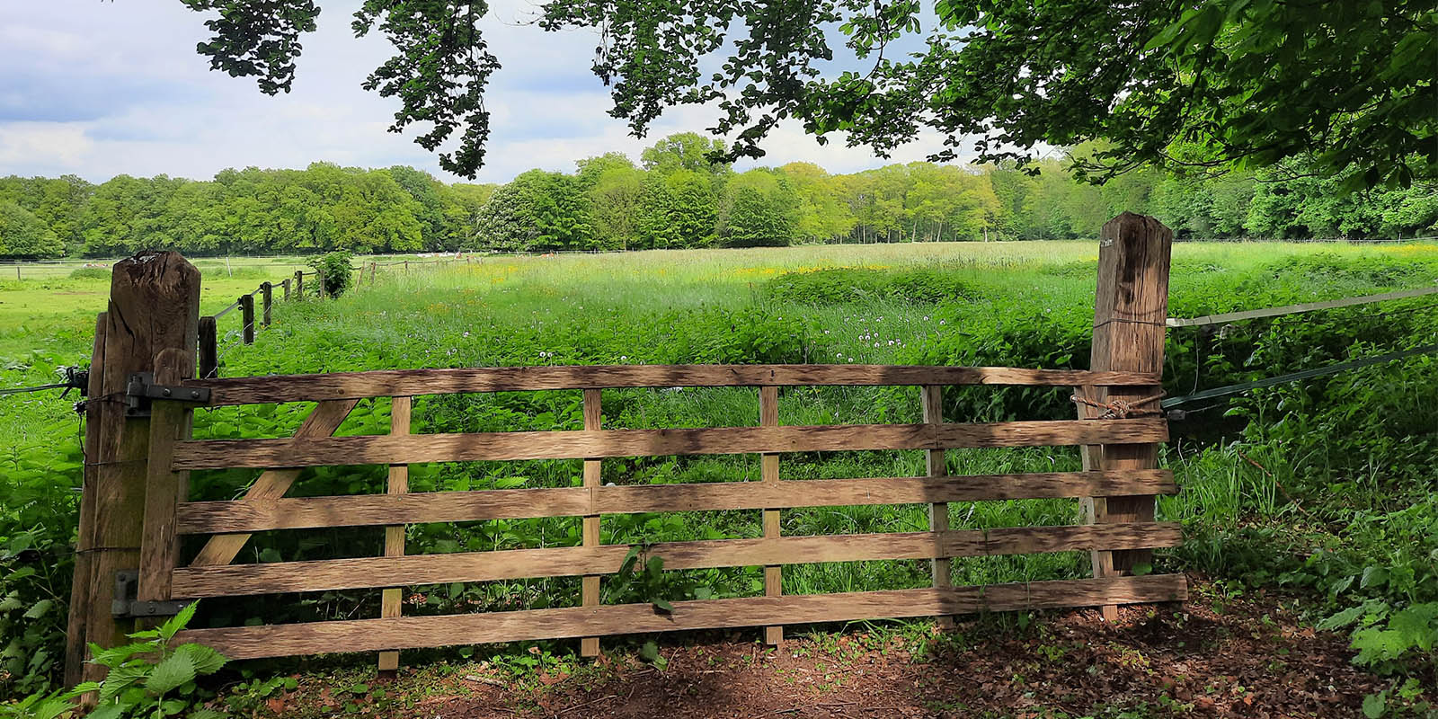 Foto van een hek voor een weiland, met daarboven blauwe lucht.