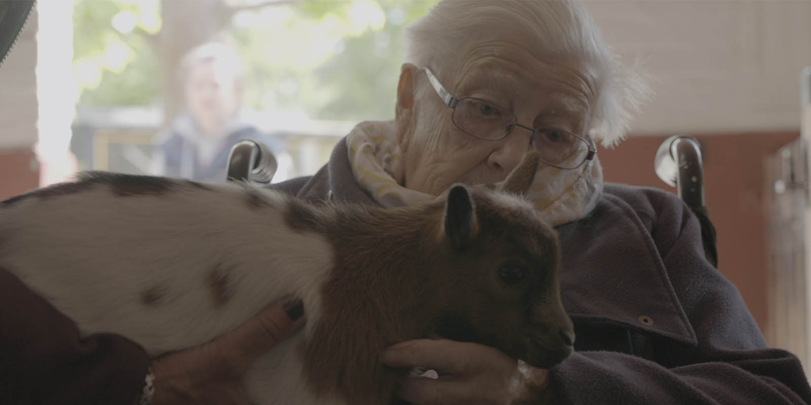 Foto van bewoonster met dementie die met een geitje knuffelt Haar hartenwens, nog eens terug naar de boerderij, ging in vervulling.