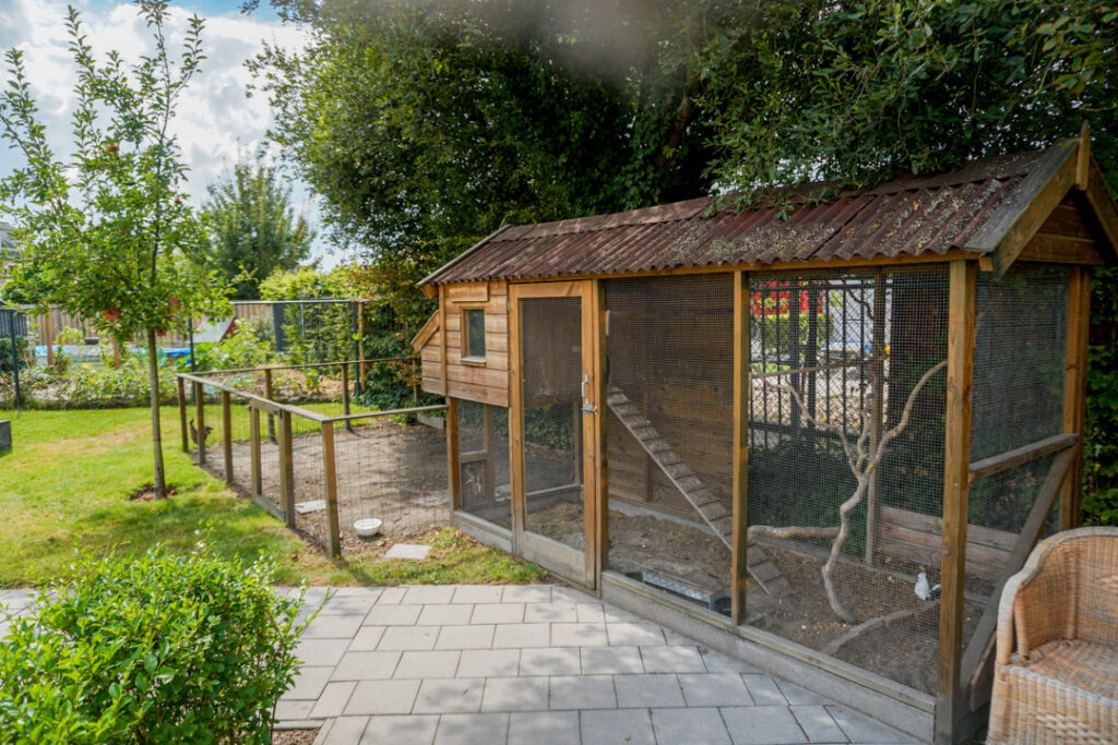 Een foto van de tuin van Het Toorenhuis van Dagelijks Leven waar mensen met dementie kleinschalig en betaalbaar wonen in een particuliere zorginstelling