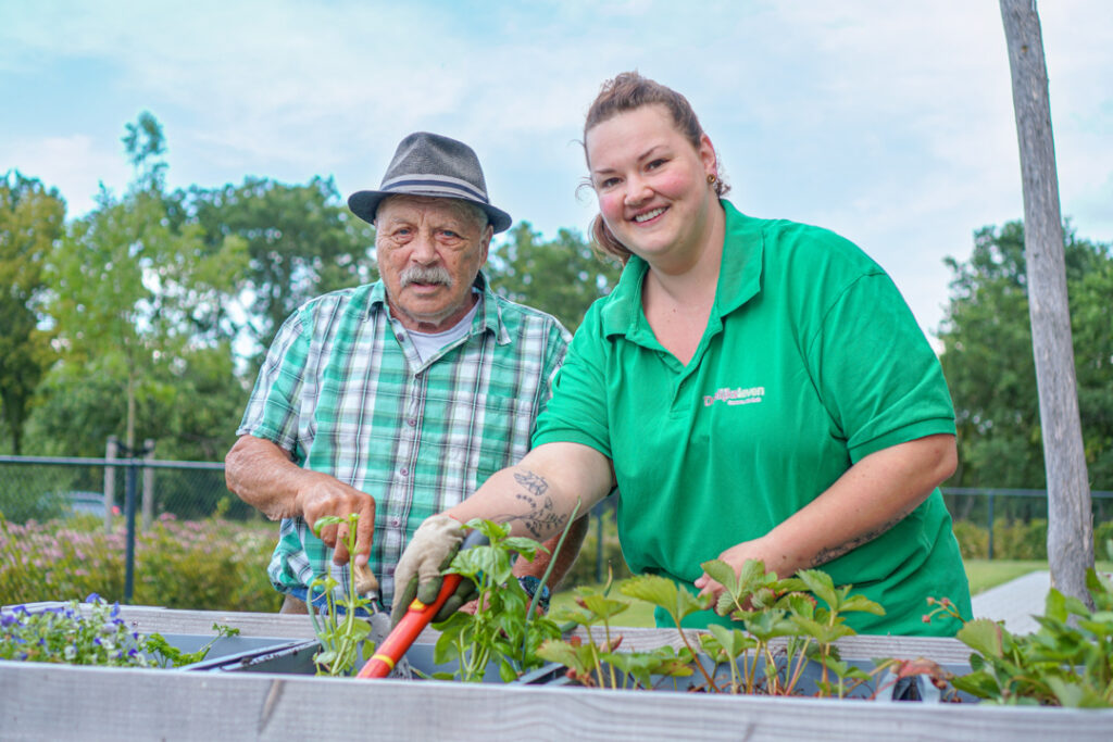 Een bewoner met vasculaire dementie en een medewerker werken samen in de groente tuin op hoogte op de zorglocatie van Dagelijks Leven