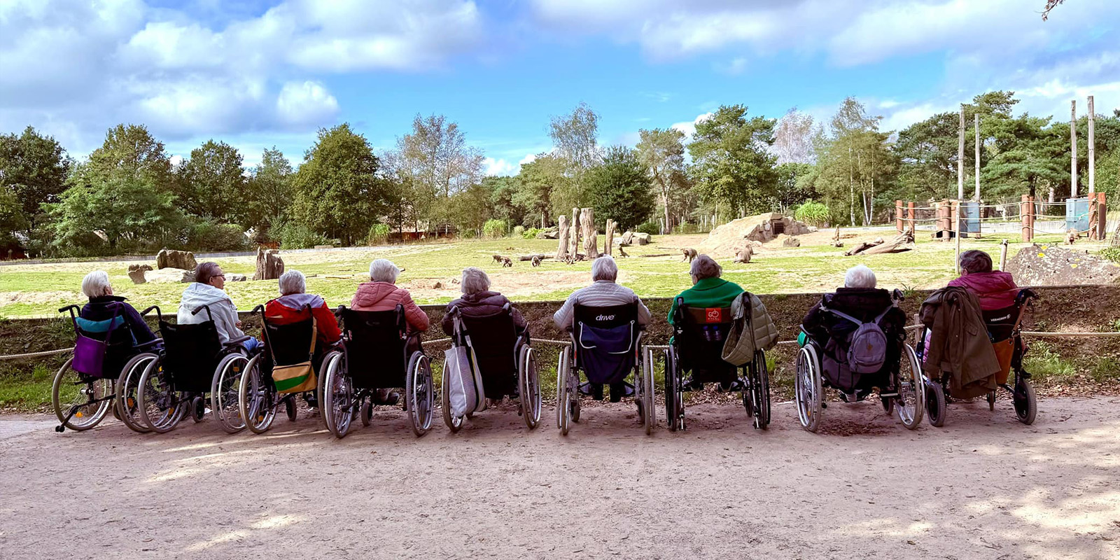 De bewoners van Het Vredehofhuis, onze kleinschalige woonzorglocatie voor mensen met dementie in Spijkenisse, ging samen met het televisieprogramma Max Maakt Mogelijk op pad naar Beekse Bergen. Op de foto de bewoners op de rug gezien terwijl ze kijken naar olifanten.